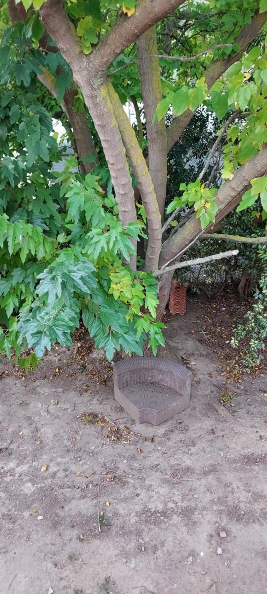 Le Barcares Logement Climatise Pour 6 Personnes, Draps Et Serviettes Non Fournis Air-Conditioned Accommodation For 6 People, Sheets And Towels Not Provided Alojamiento Con Aire Acondicionado Para 6 Personas, Sabanas Y Toallas No Incluidas Exterior foto